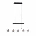 Paul Neuhaus Hydra LED pendant light, 5-bulb, glass, 80 cm
