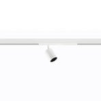 Ivela Nanoperfetto track spotlight, white, DALI 48 V 38° 3,000 K