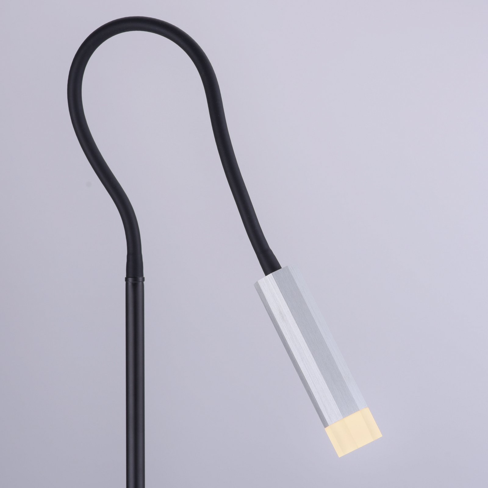 Paul Neuhaus Pure-Gemin LED-gulvlampe sølv