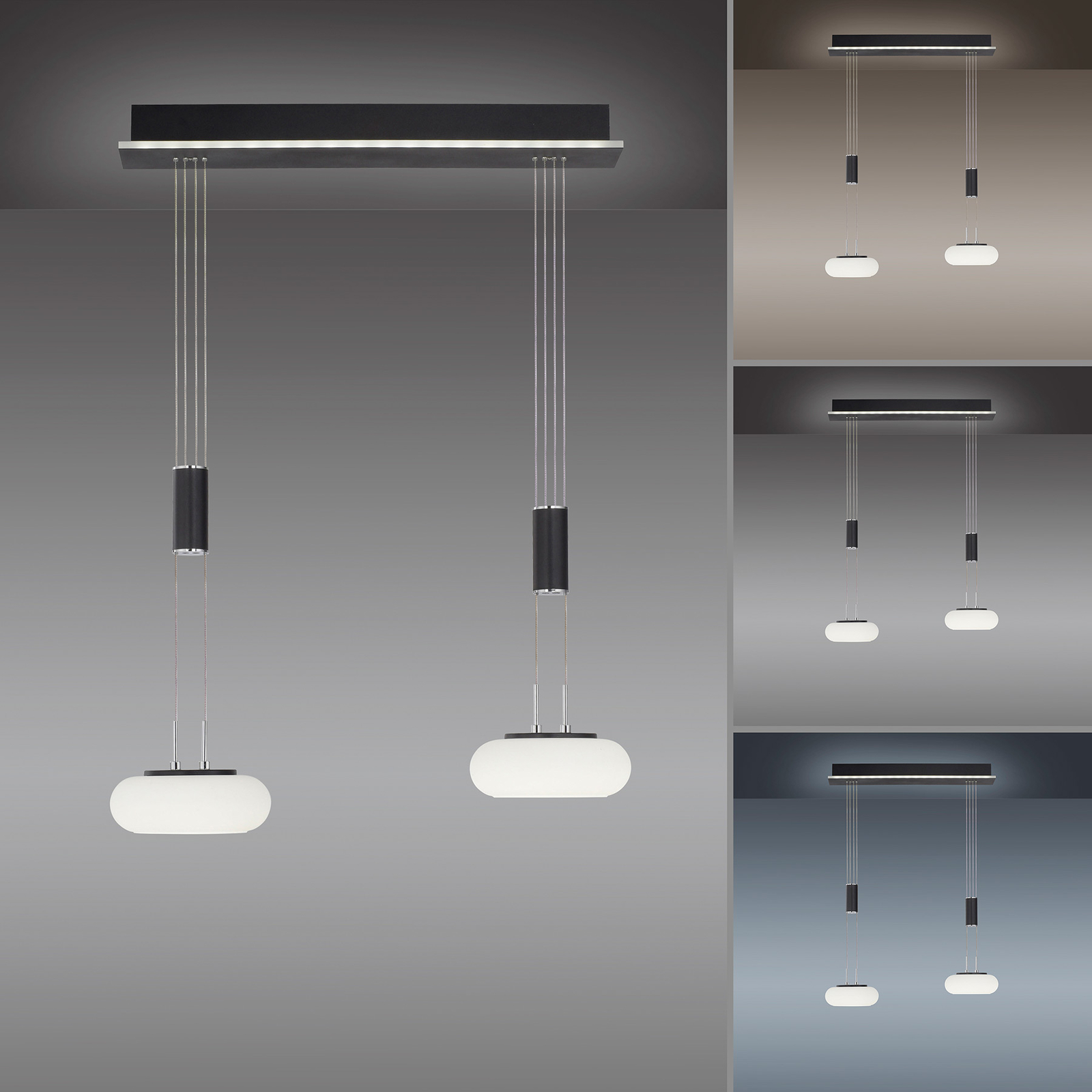 Paul Neuhaus Q-ETIENNE suspension LED, x2, noire
