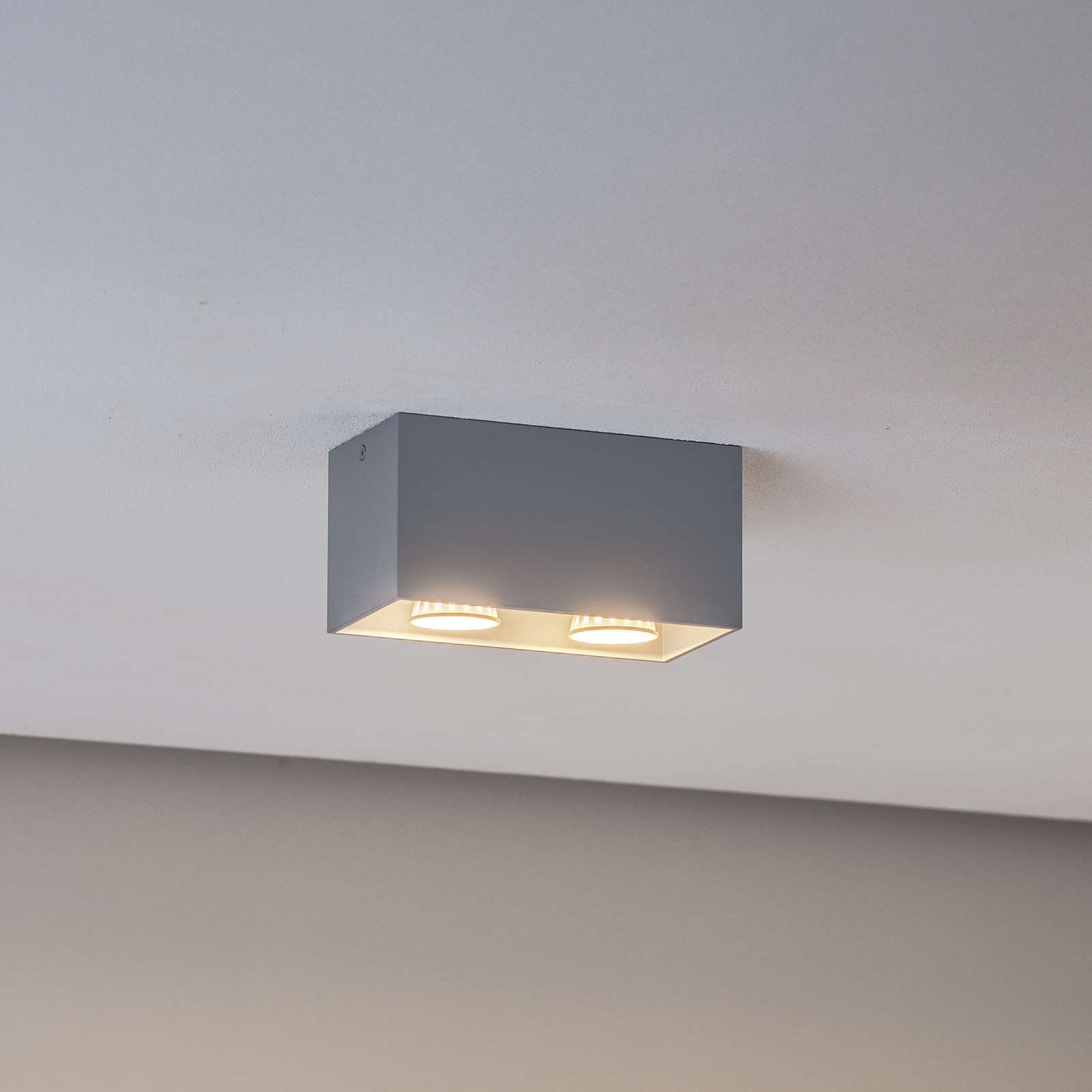 Ara Maxi aluminium ceiling light 2-bulb grey