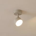 Faretto da soffitto Nemo, a 1 luce, grigio-beige, orientabile, GX53