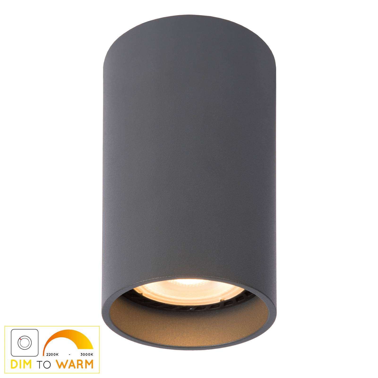 Photos - Chandelier / Lamp Lucide Dime LED ceiling light Delto dimmable to warm, round, grey 