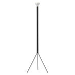 FLOS Lampe sur pied Luminator, anthracite, hauteur 189 cm, métal