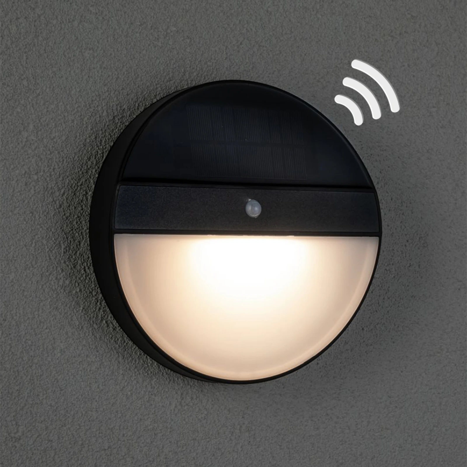 Paulmann Solar-Wandleuchte Elois, Bewegungsmelder