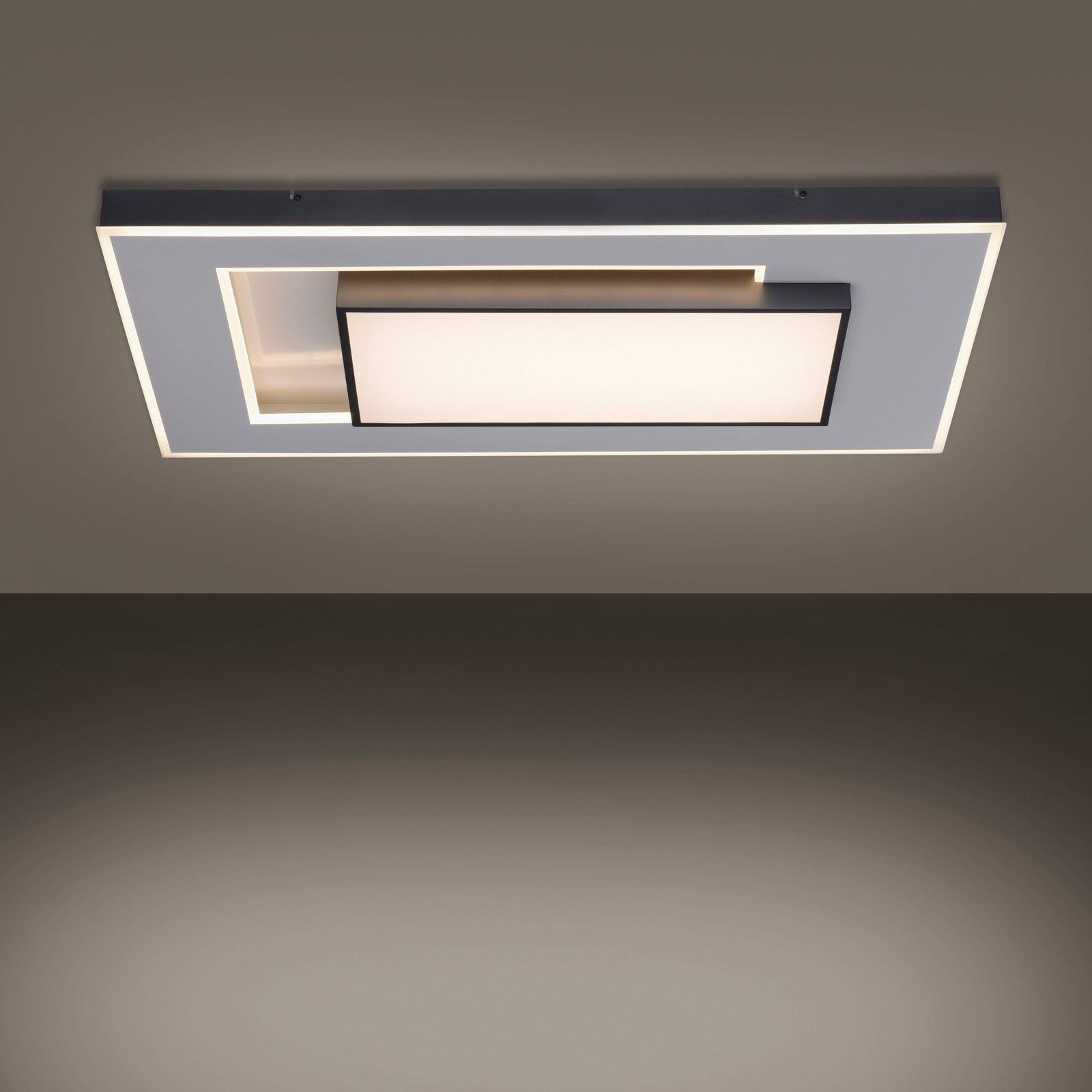 Paul Neuhaus Q-Alta LED-Deckenleuchte, 100x55cm