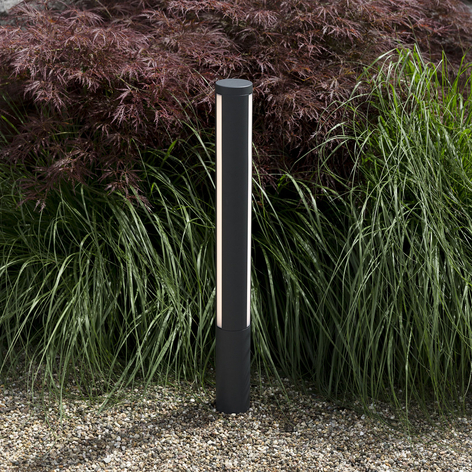 LED tuinpadverlichting Lilia, hoogte 125 cm
