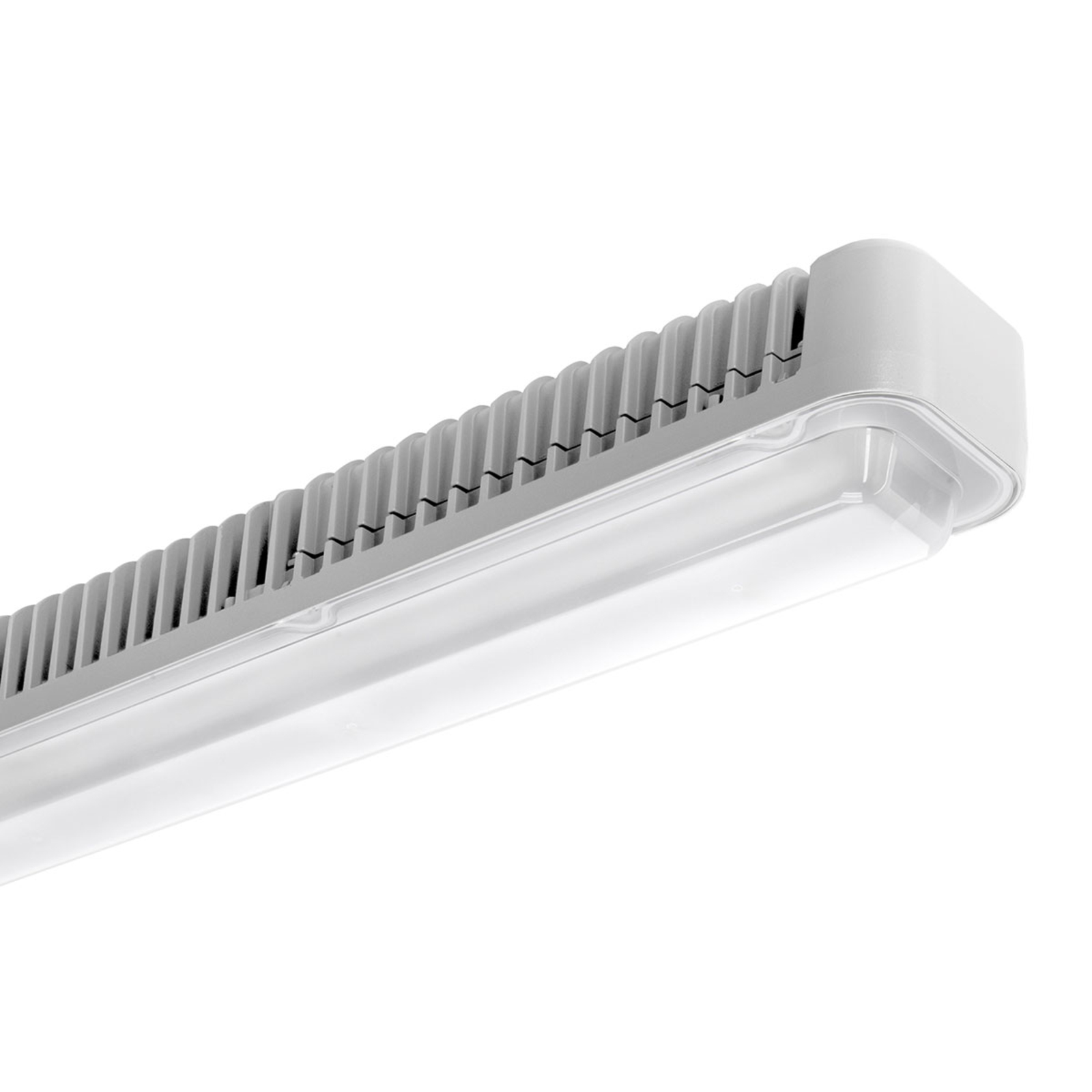 LED-Deckenlampe Koa Line STR/PC S/EW