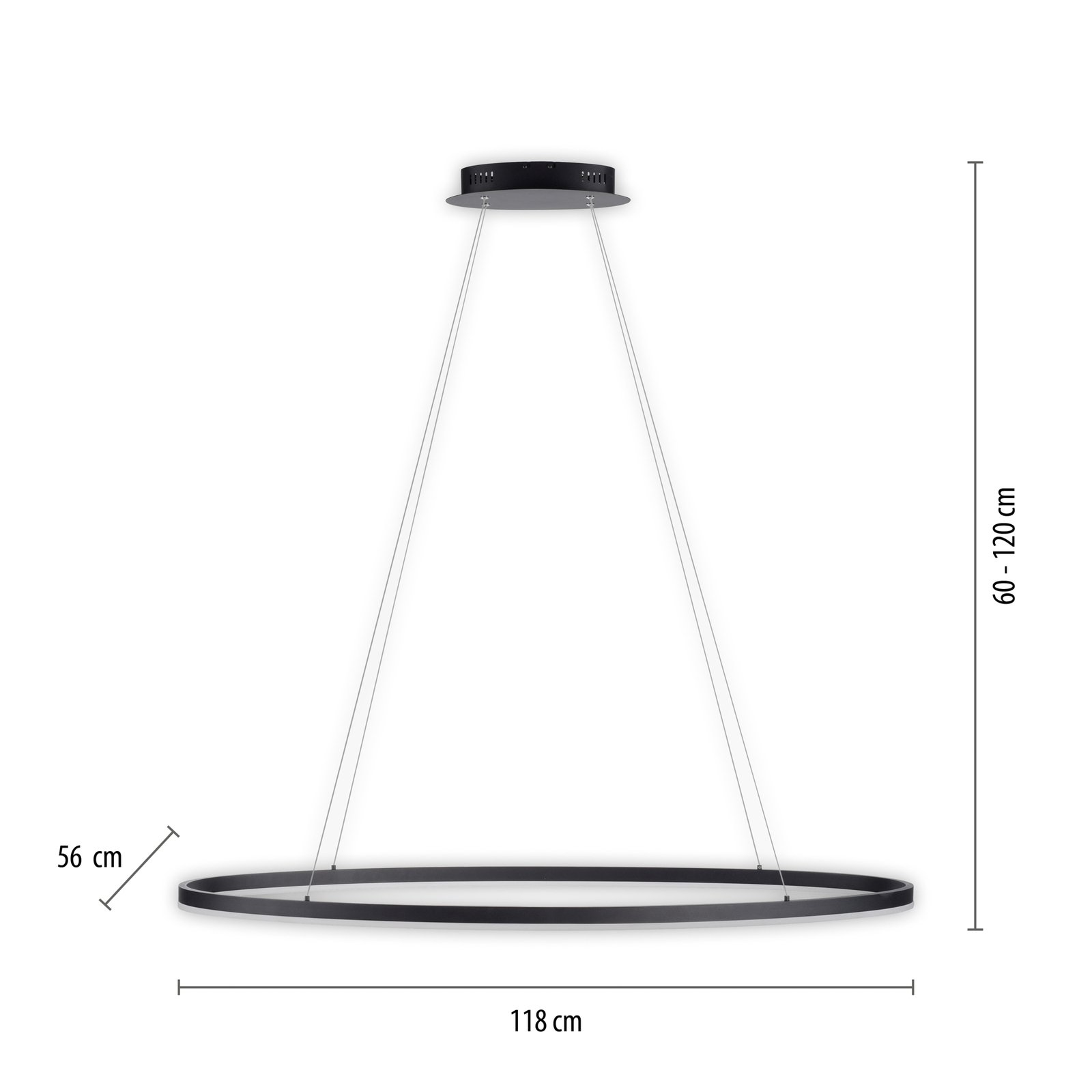 Paul Neuhaus Titus LED hanglamp, Oval 118x56cm