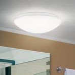 Nedo curved LED ceiling light