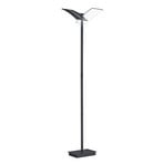 LED floor lamp Dual CCT, dimmable, black