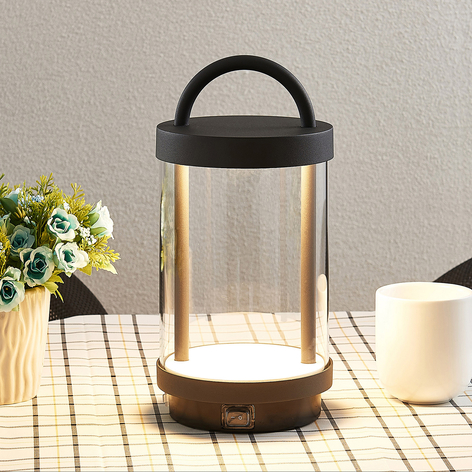 Lucande Caius LED-Dekorationsleuchte für außen