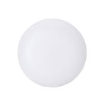 Amploule LED GX53 19 W 3 000 K  Ø 20 cm, à intensité variable - Beacon