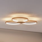 BEGA LED ceiling light 51299.4, velvet brass, metal, DALI