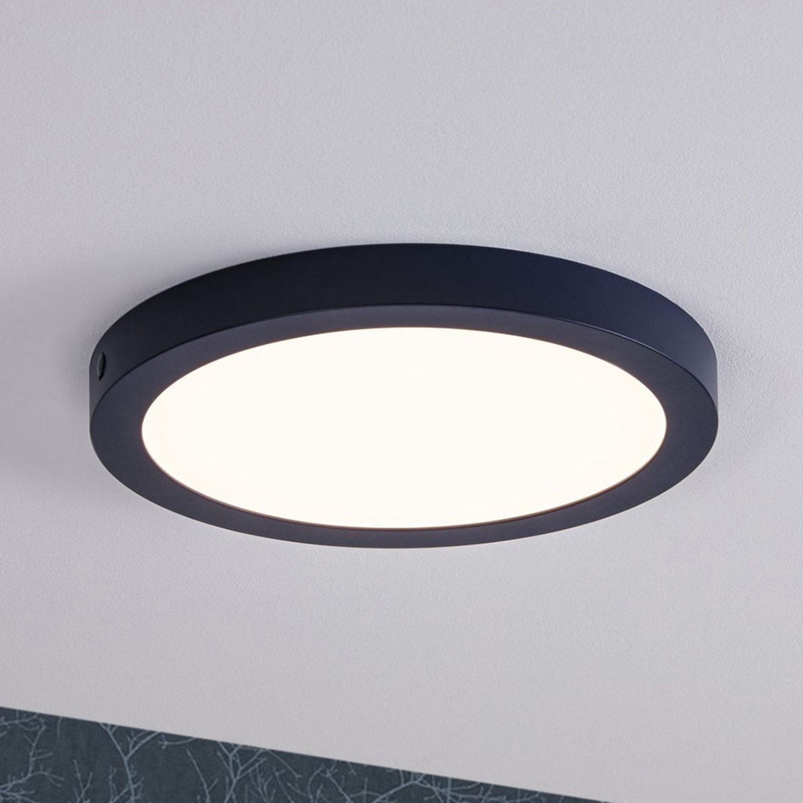 Paulmann Abia LED paneel Ø 30cm 2.700K