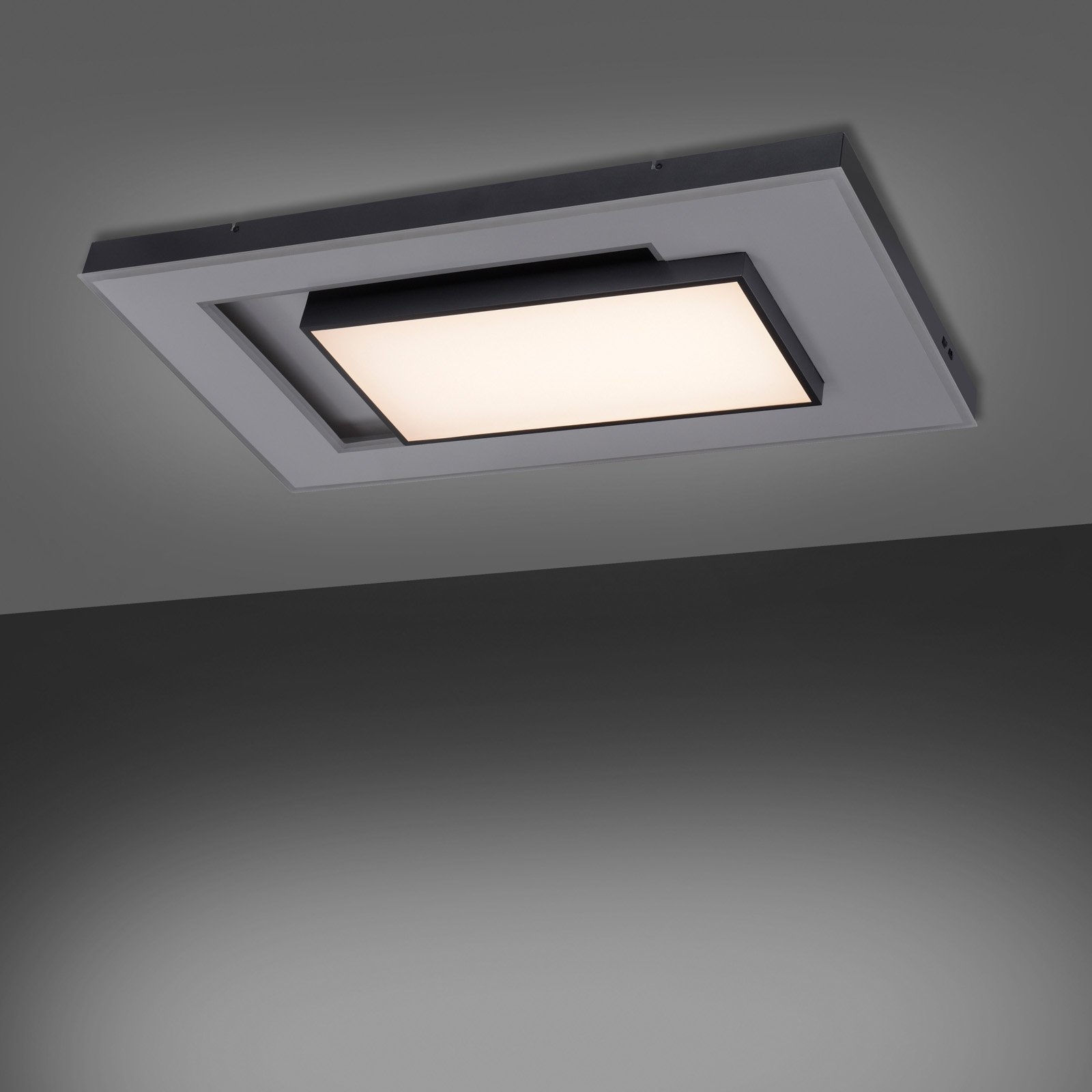 Paul Neuhaus Q-Alta LED laevalgusti, 100x55cm