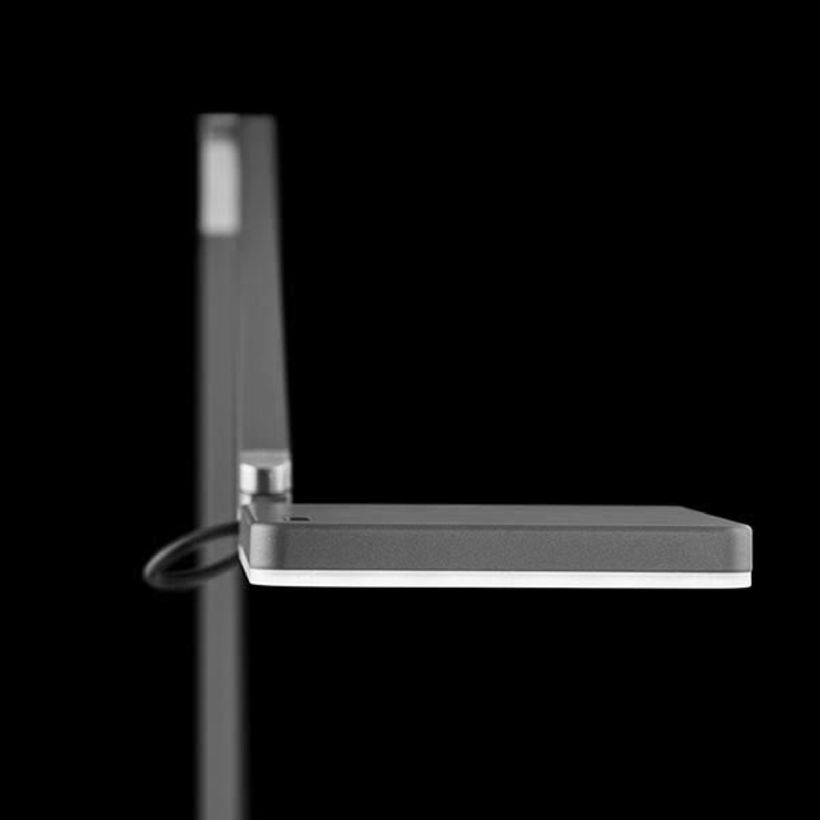 Nimbus Roxxane Home New LED reading lamp silver, for Living / Dining Room, steel, aluminium, polycarbonate, 10.5 W, energy efficiency: A+, W: 23.5 cm, H: 108.3 cm