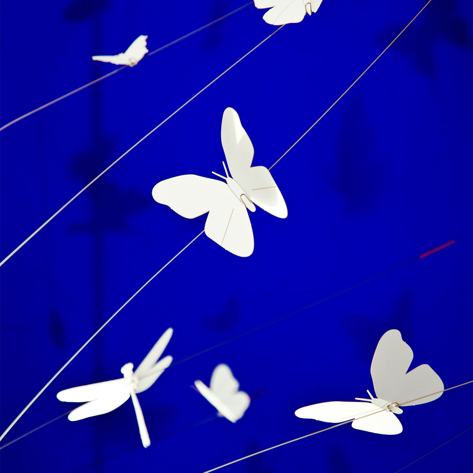 Ingo Maurer La Festa Delle Farfalle pendant 85 cm, for Living / Dining Room, paper, porcelain, metal, 11 W, energy efficiency: A+, H: 85 cm