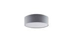 Ellamina LED Stropna lampa Ø40 Light Siva - Lindby