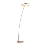 Lampadaire LED Titus, dimmable, laiton mat