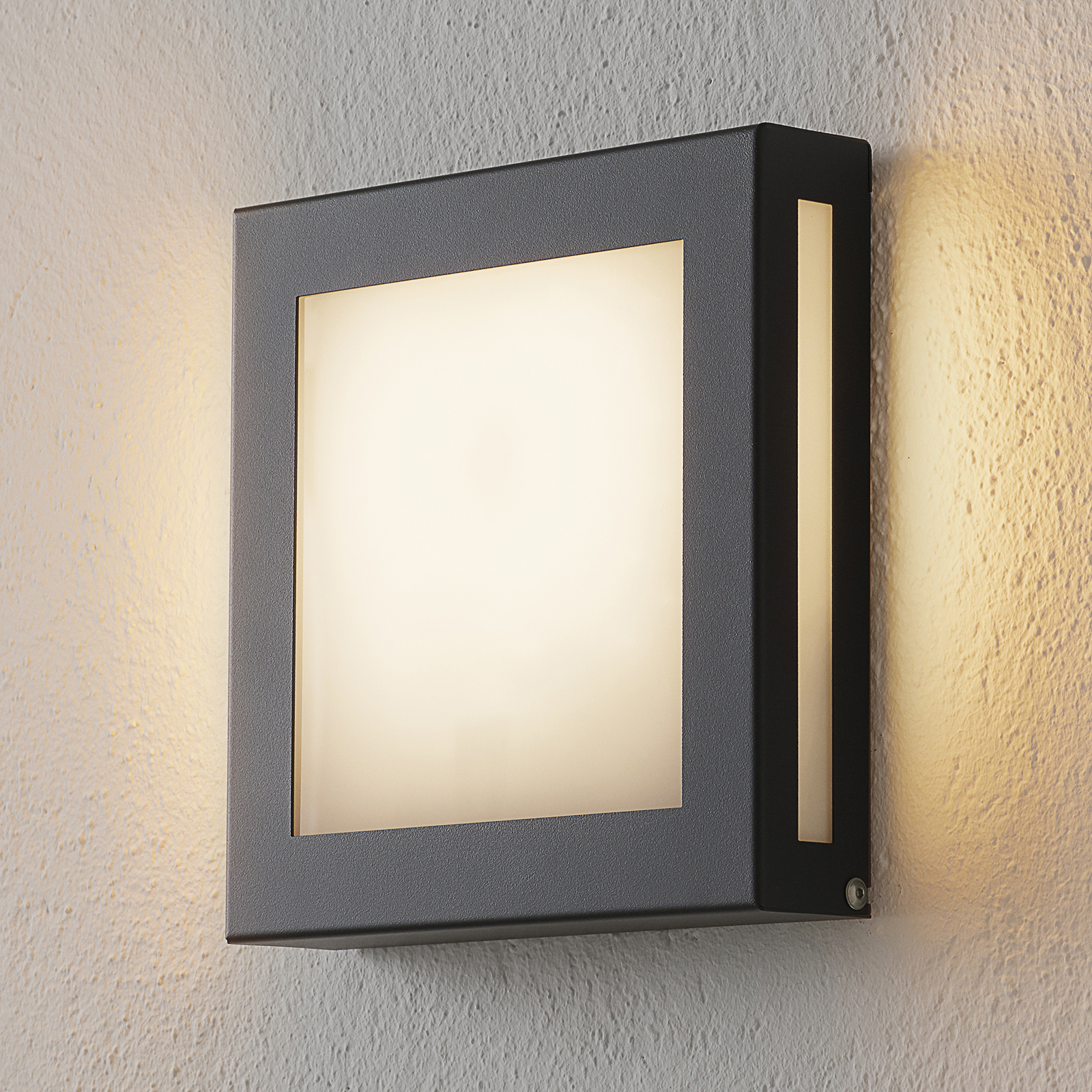 Ik geloof Richtlijnen Bijdragen Sensor-LED buitenlamp Aqua Legendo Mini, antraciet | Lampen24.be
