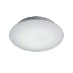 Glasleuchte Plafonieră Ø40 White/Opal Satin - Bankamp