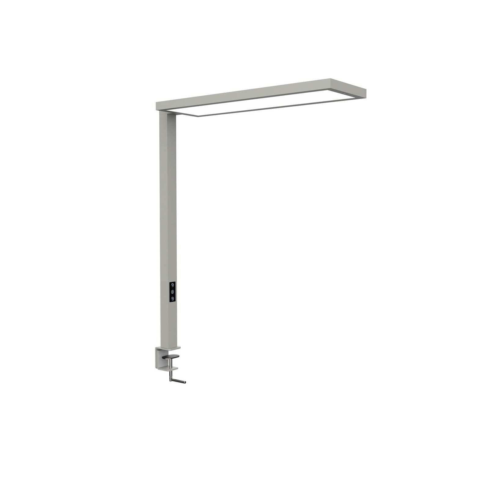 LED-Klemmleuchte MAULsenja, silberfarben, Sensor, dim., CCT günstig online kaufen
