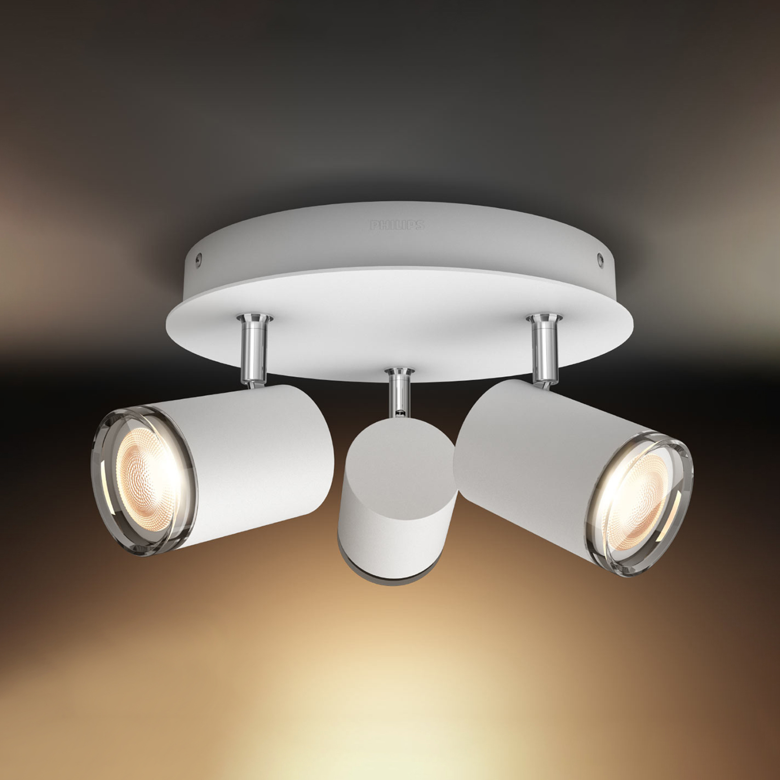 onvergeeflijk noodsituatie Bereiken Philips Hue White Ambiance Adore LED plafondlamp | Lampen24.nl