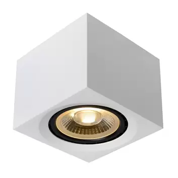 LED-Deckenstrahler Irelia, schwenkbare Spots