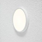 EVN Planus panel LED Ø 19,2 cm 18 W 3.000 K