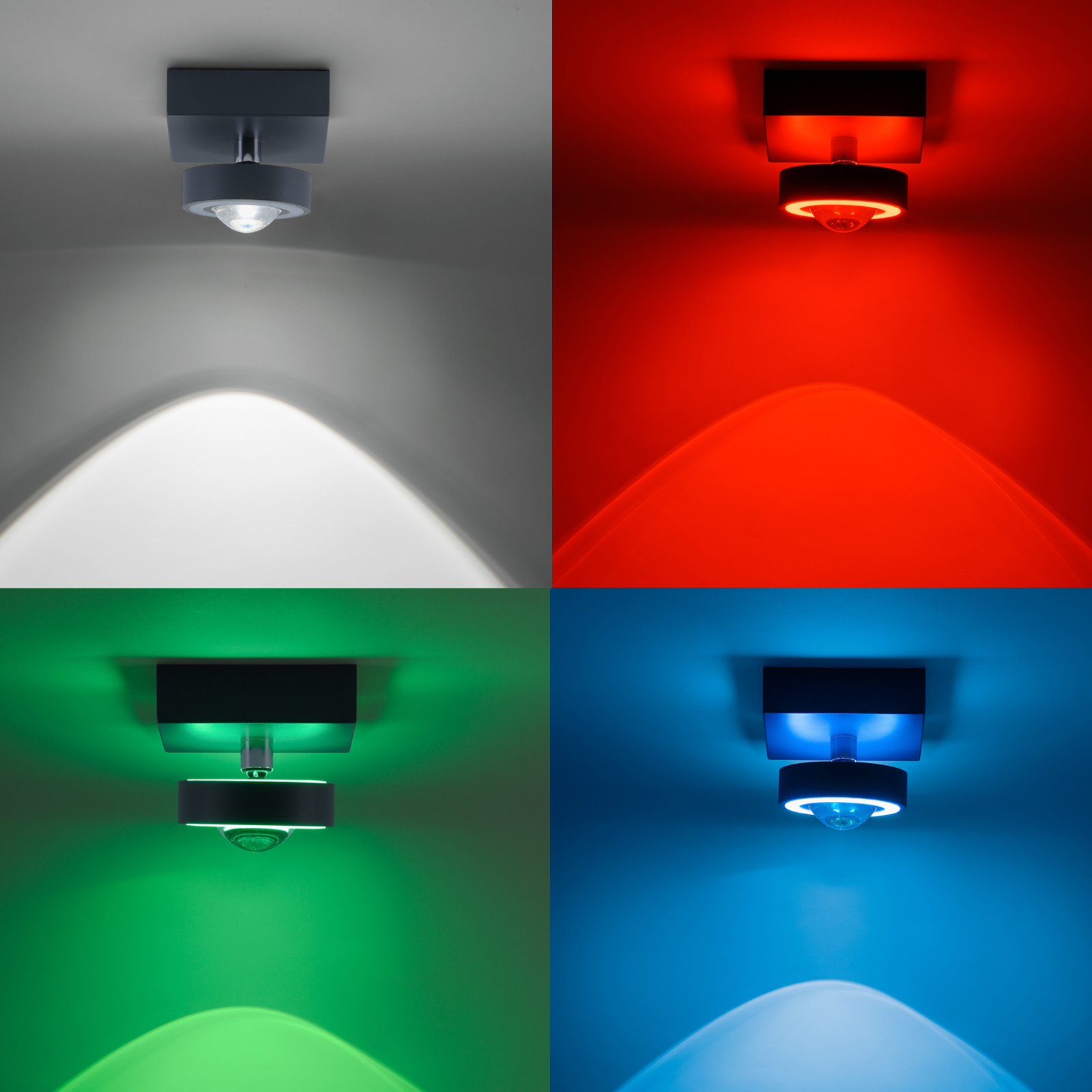 Paul Neuhaus Q-MIA LED-Deckenleuchte anthrazit