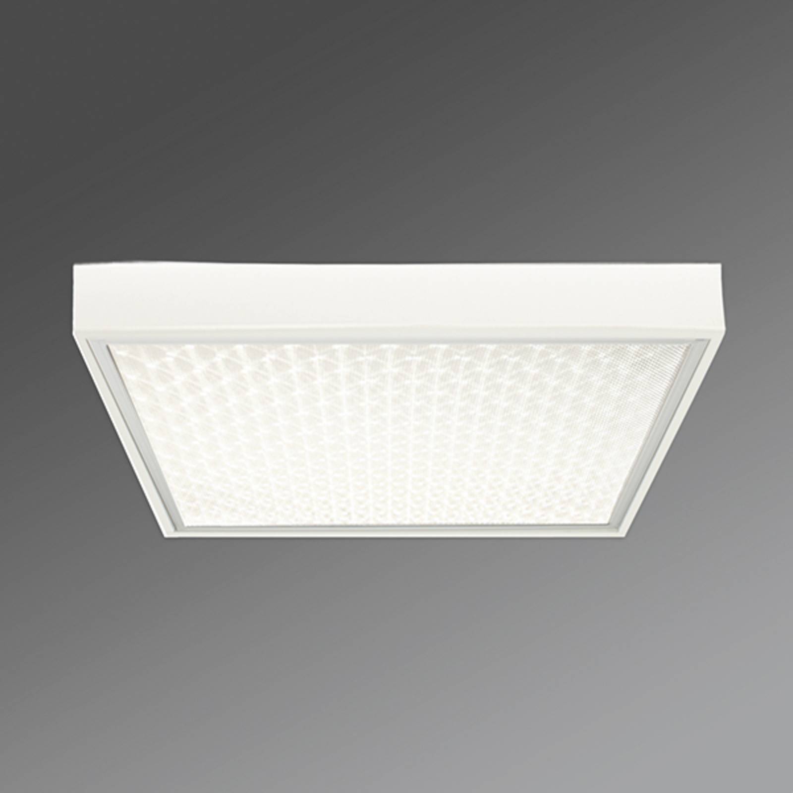 Biurowa lampa sufitowa Protection-PRAMP 660 BAP