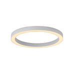 Lampa sufitowa LED PURE LED Lines, Ø 50 cm, biała CCT, pilot
