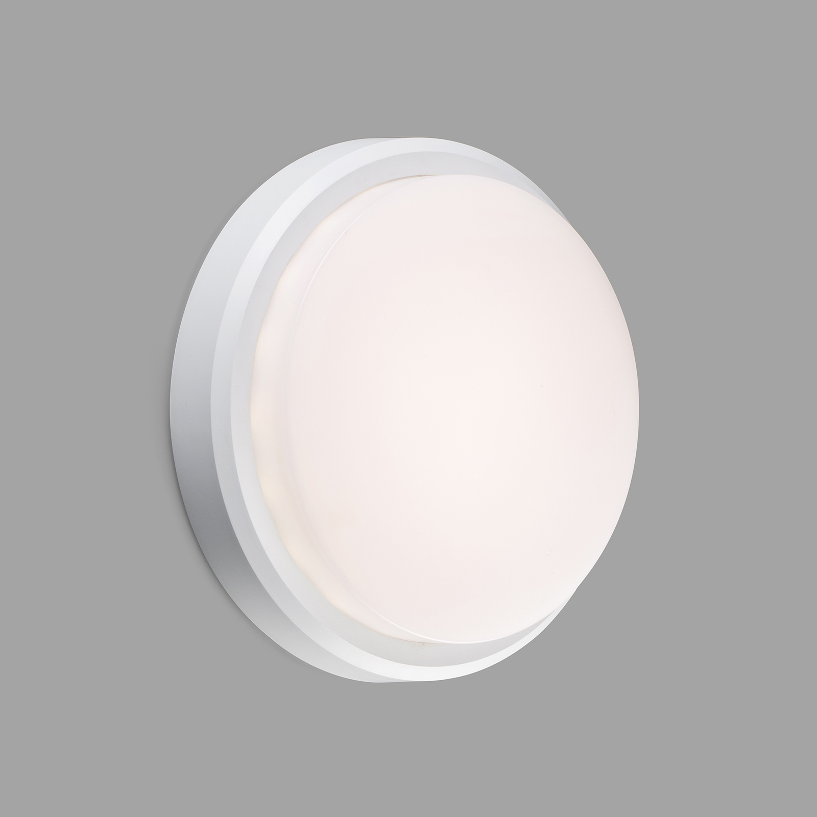 LED-Außenwandleuchte Tom XL, IK10