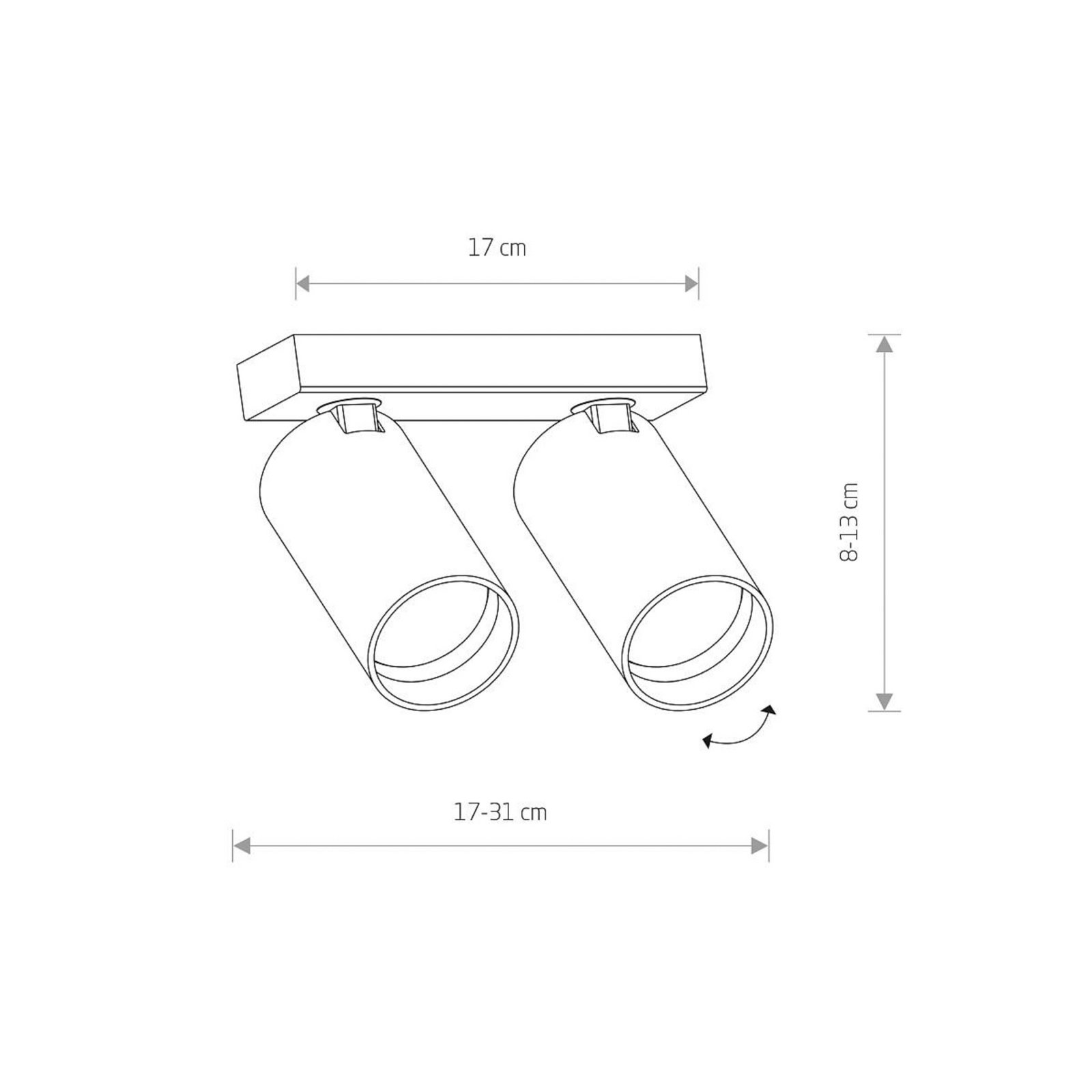 Spot pour plafond Mono II, à 2 lampes, blanc, 31 cm de long, GU10