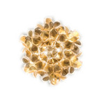 Clizia Ceiling Lamp/Wall Lamp Mama Non Mama Mini Gold - Slamp