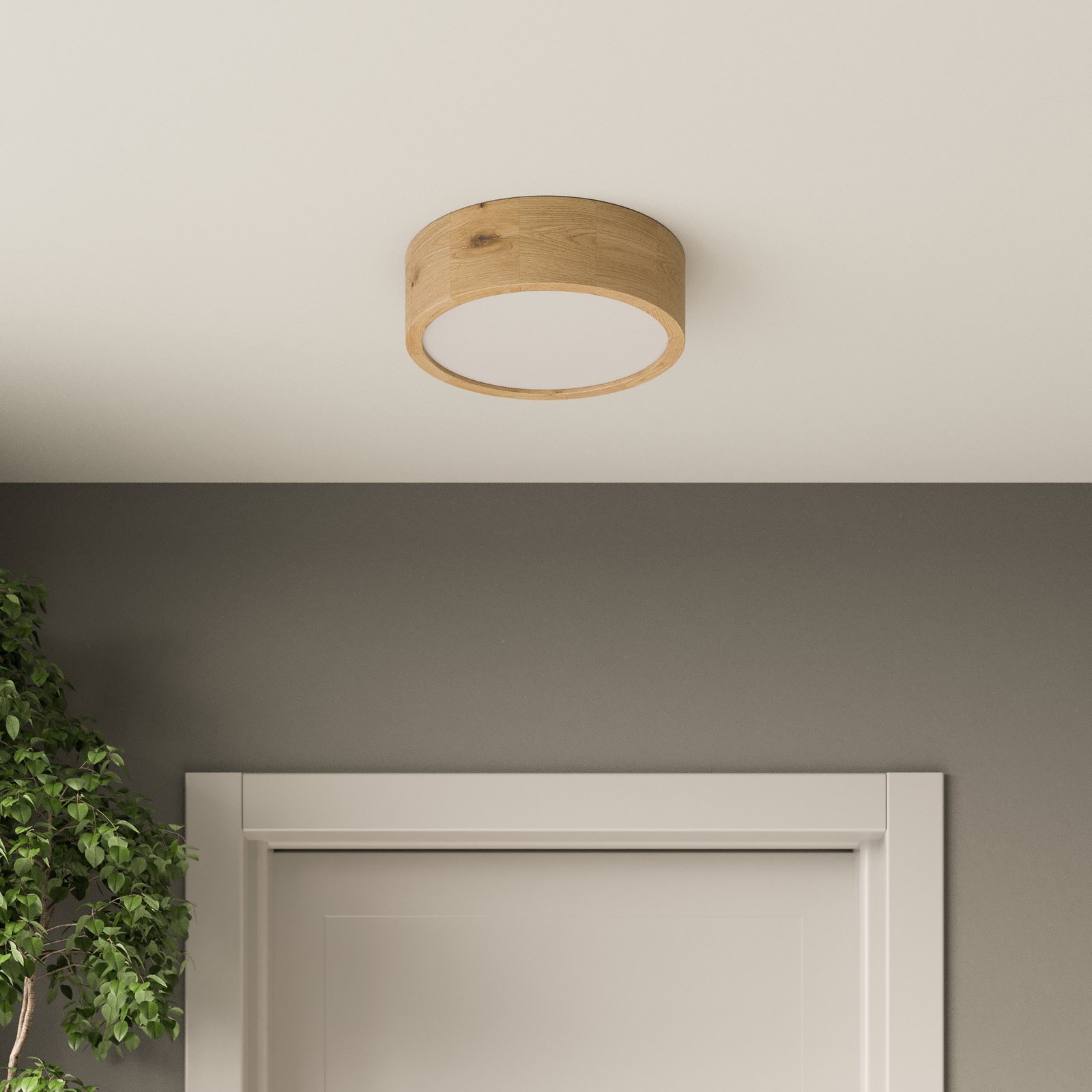 Kerio Deckenlampe eiche natur Ø 27 cm - Envostar