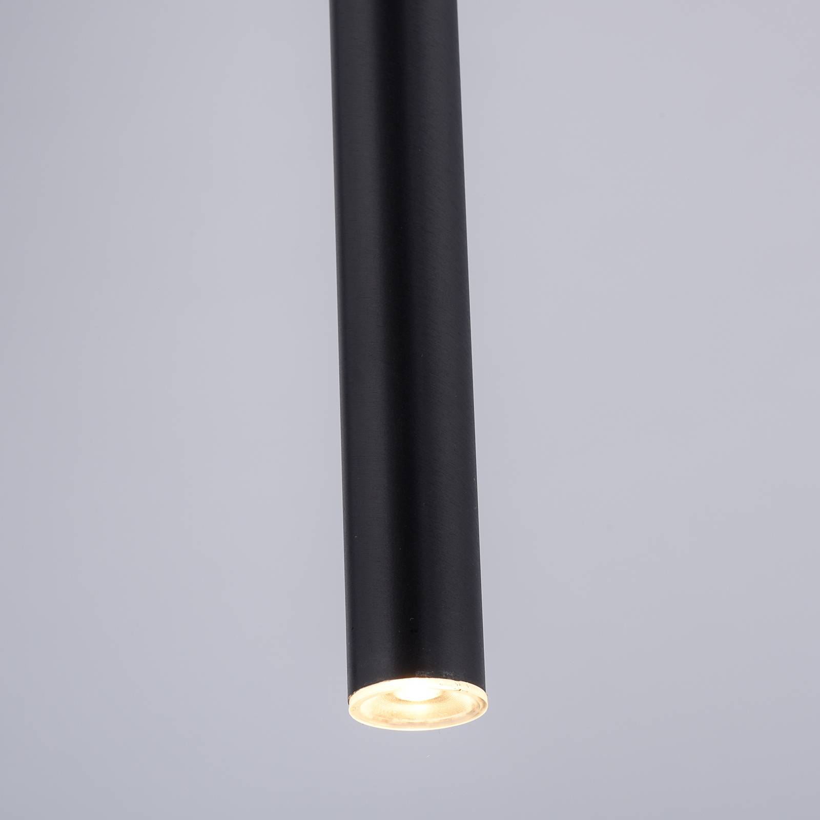 Paul Neuhaus Flute lampa wisząca LED 1-punktowa czarna