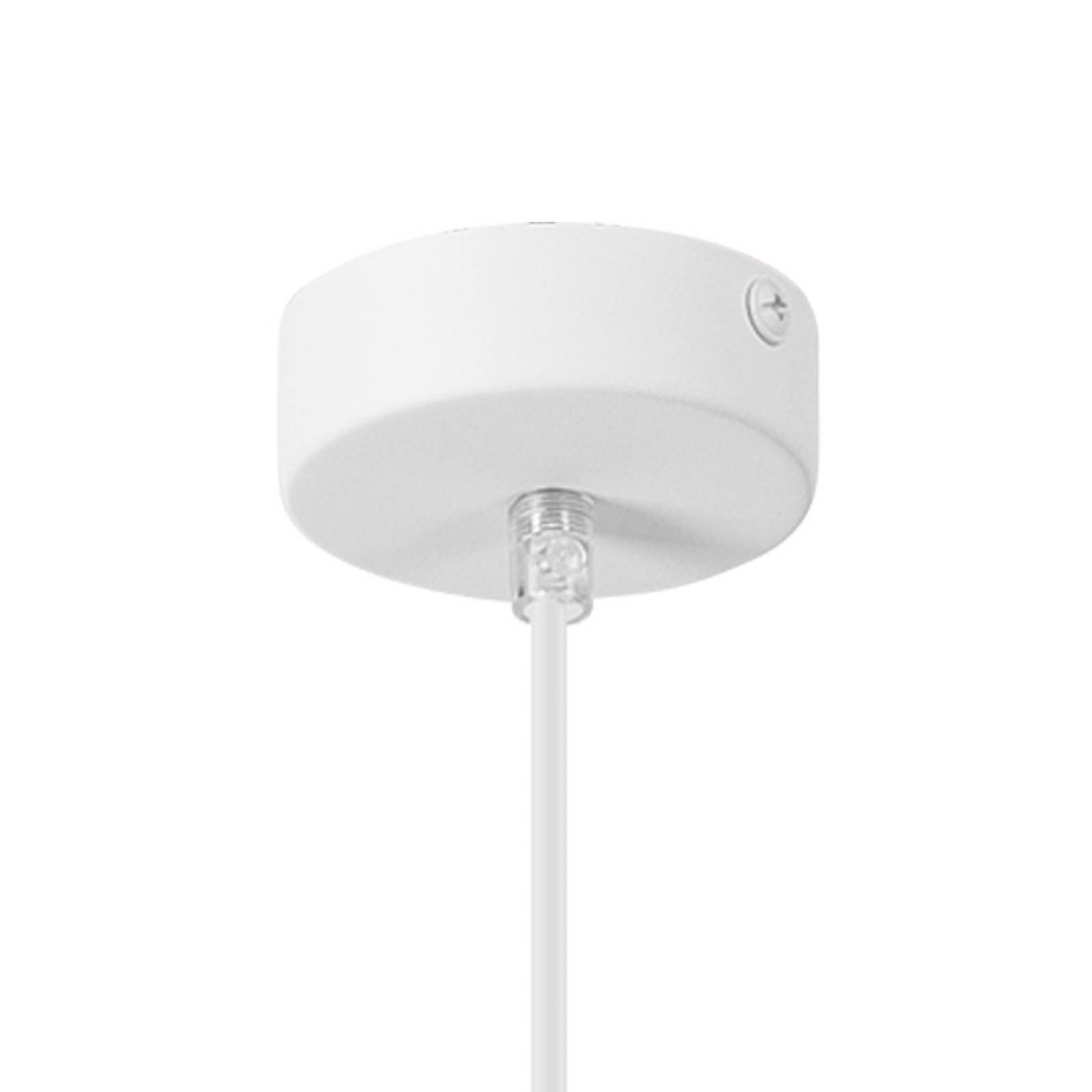Lampa wisząca Nolan, Ø 11 cm, biała/dąb, metal/drewno