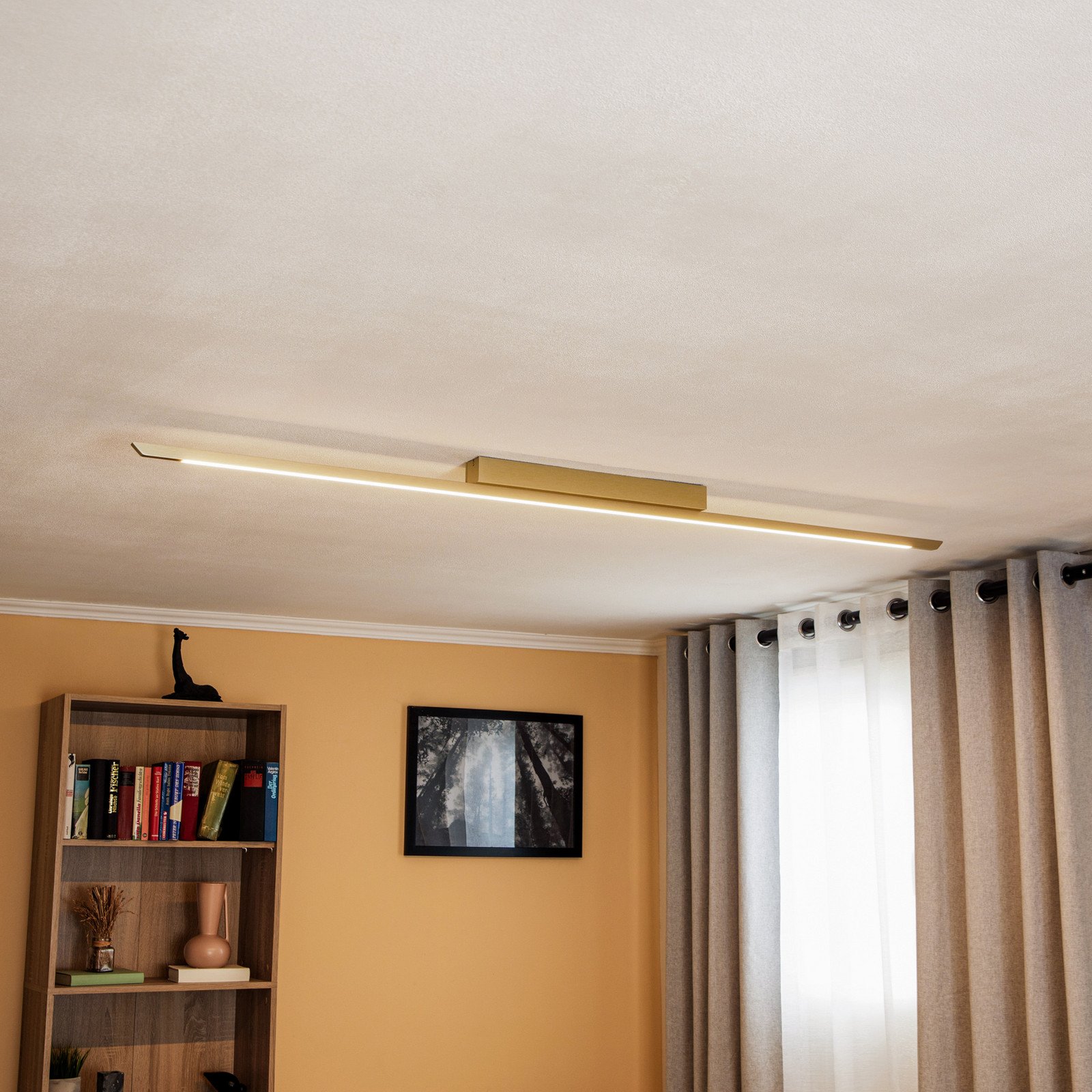 Quitani Niara plafonieră LED crem eloxal - Hol - modern - Aluminiu