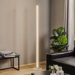 Pirgos LED floor lamp with dimmer, height 180 cm