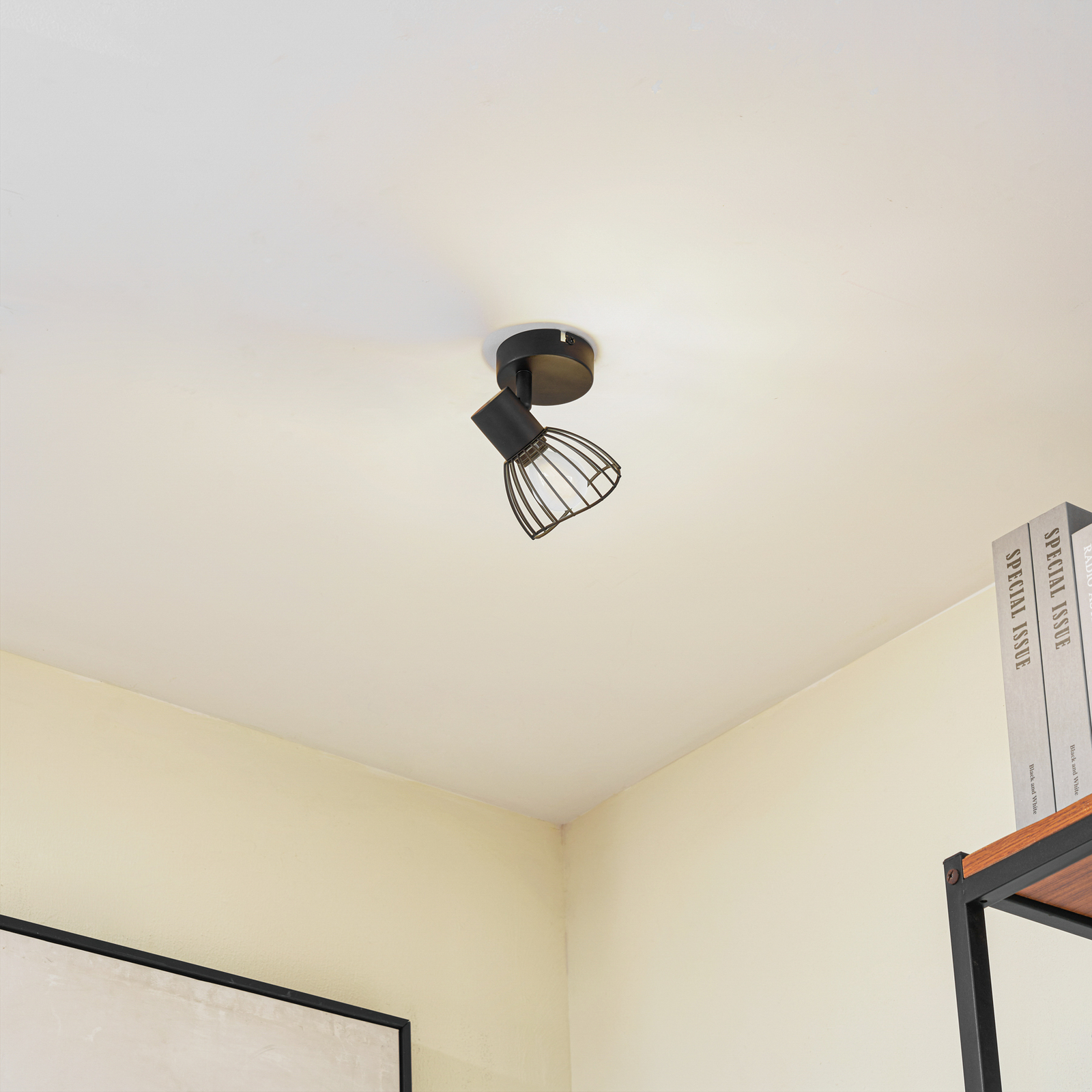 Piena Ceiling Lamp Black - Lindby