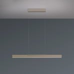 Candeeiro suspenso LED Bopp Nano 2.0, comprimento 100 cm, cinza-escuro, metal
