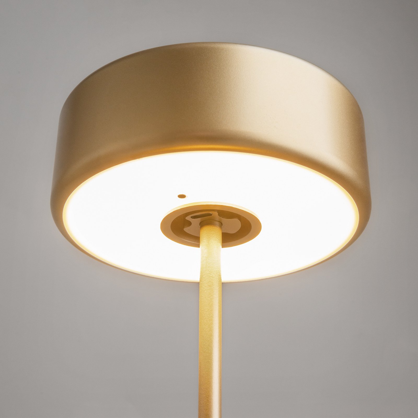 Maytoni LED rechargeable table lamp AI Collaboration, aluminium, gold