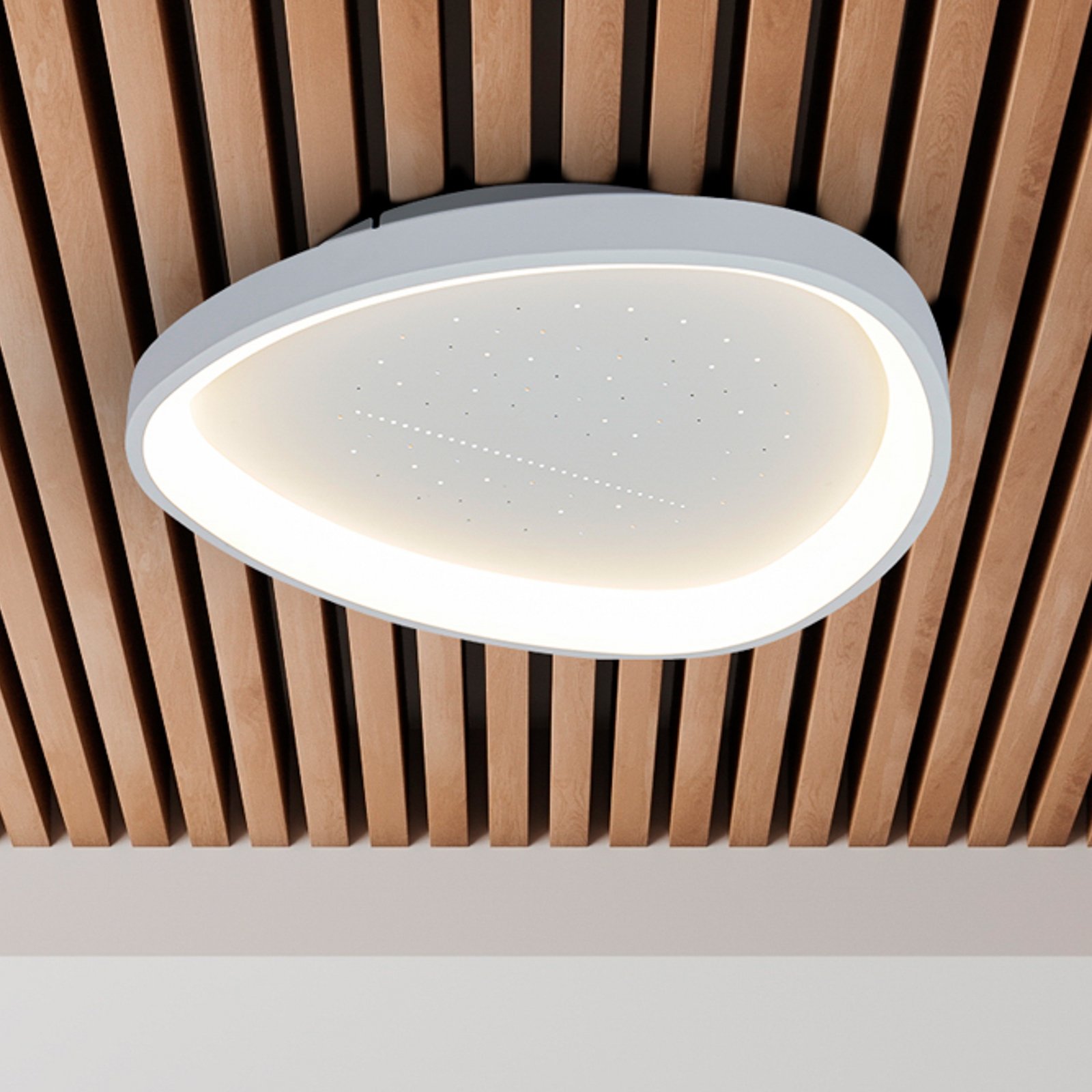 Argesa LED ceiling light, Ø 60.5 cm, white, CCT, remote control