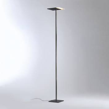 Bopp Flat lampa stojąca LED ściemniacz antracyt