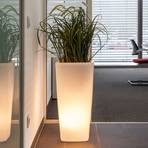 Trevia V dekorativ lampa, planterbar, genomskinlig vit