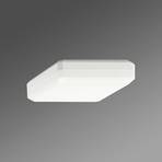Square WQL ceiling lamp opal diffuser warm white