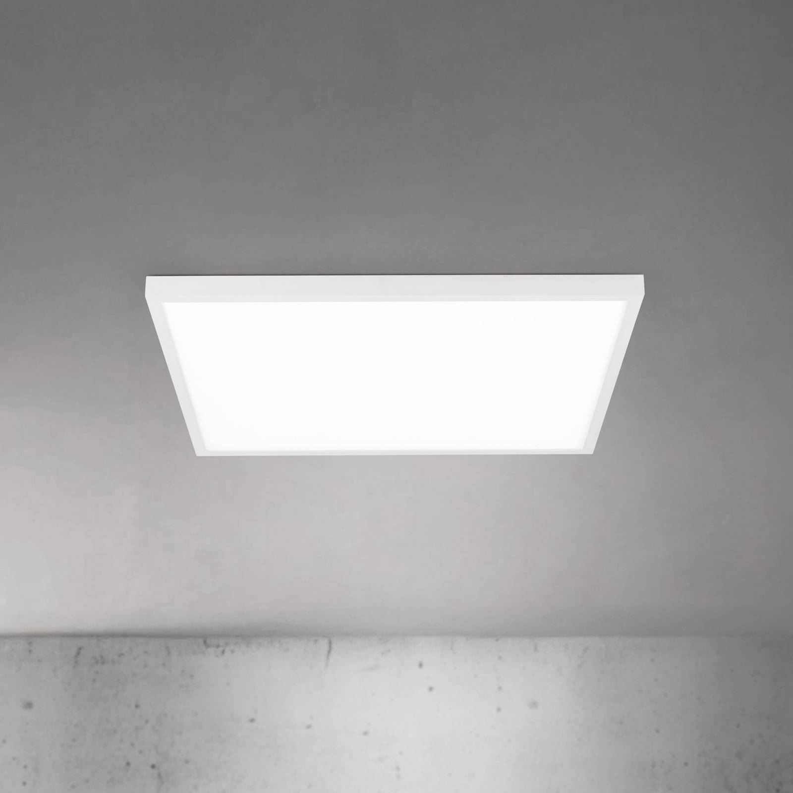 LED-Deckenlampe Disc, weiß, Länge 60 cm, CCT, Metall günstig online kaufen