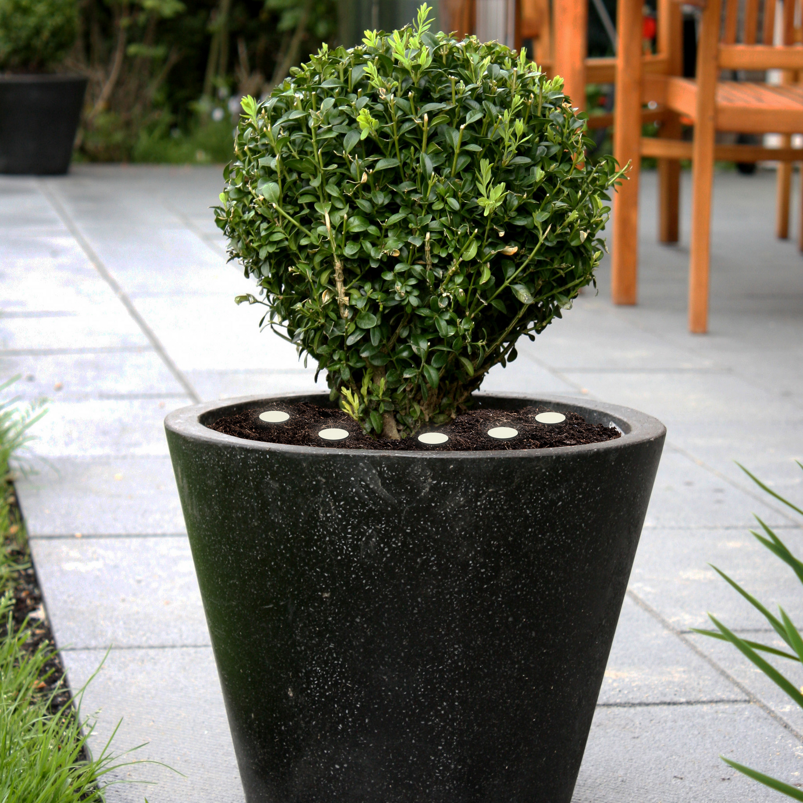 Lampe de sol LED Spinetoli 2, lot de 6 avec piquet de terre